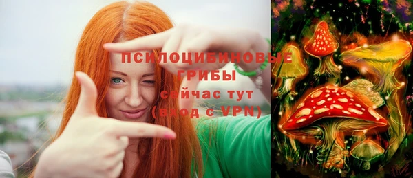 крисы Балабаново