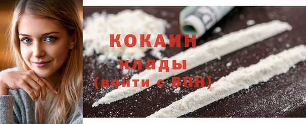 твердый Осташков