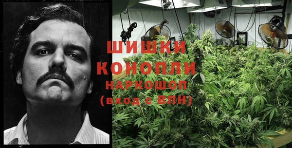 стафф Баксан